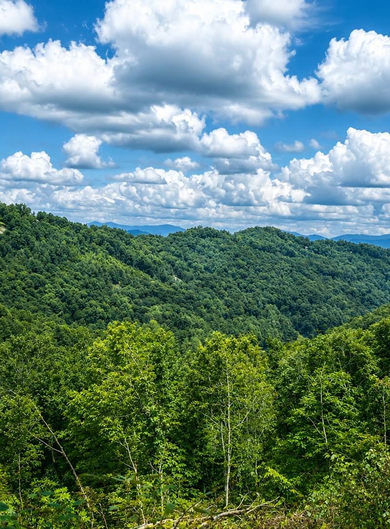 Hidden Falls, Cashiers, NC